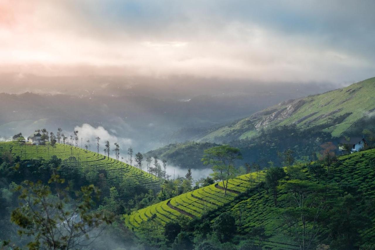 Vaga Mist Resort Vagamon Idukki Kültér fotó